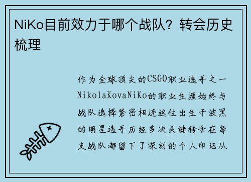 NiKo目前效力于哪个战队？转会历史梳理