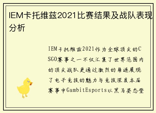 IEM卡托维兹2021比赛结果及战队表现分析
